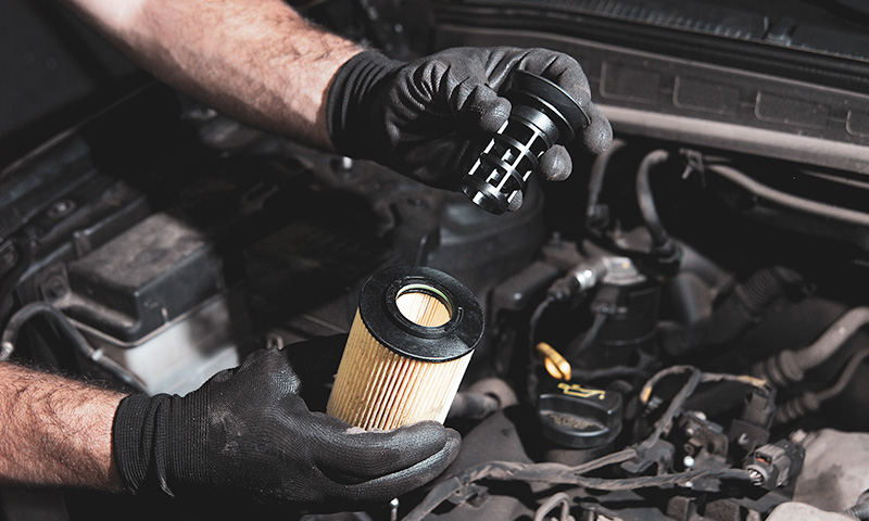 driveline and differential service